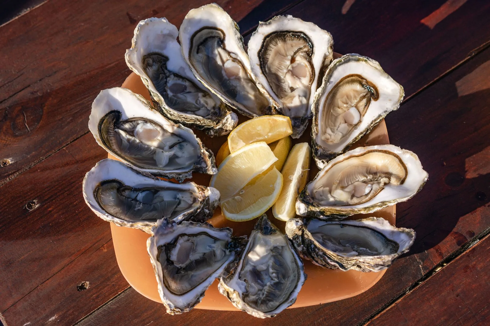 Fruits de mer, huîtres et poissons de la côte atlantique